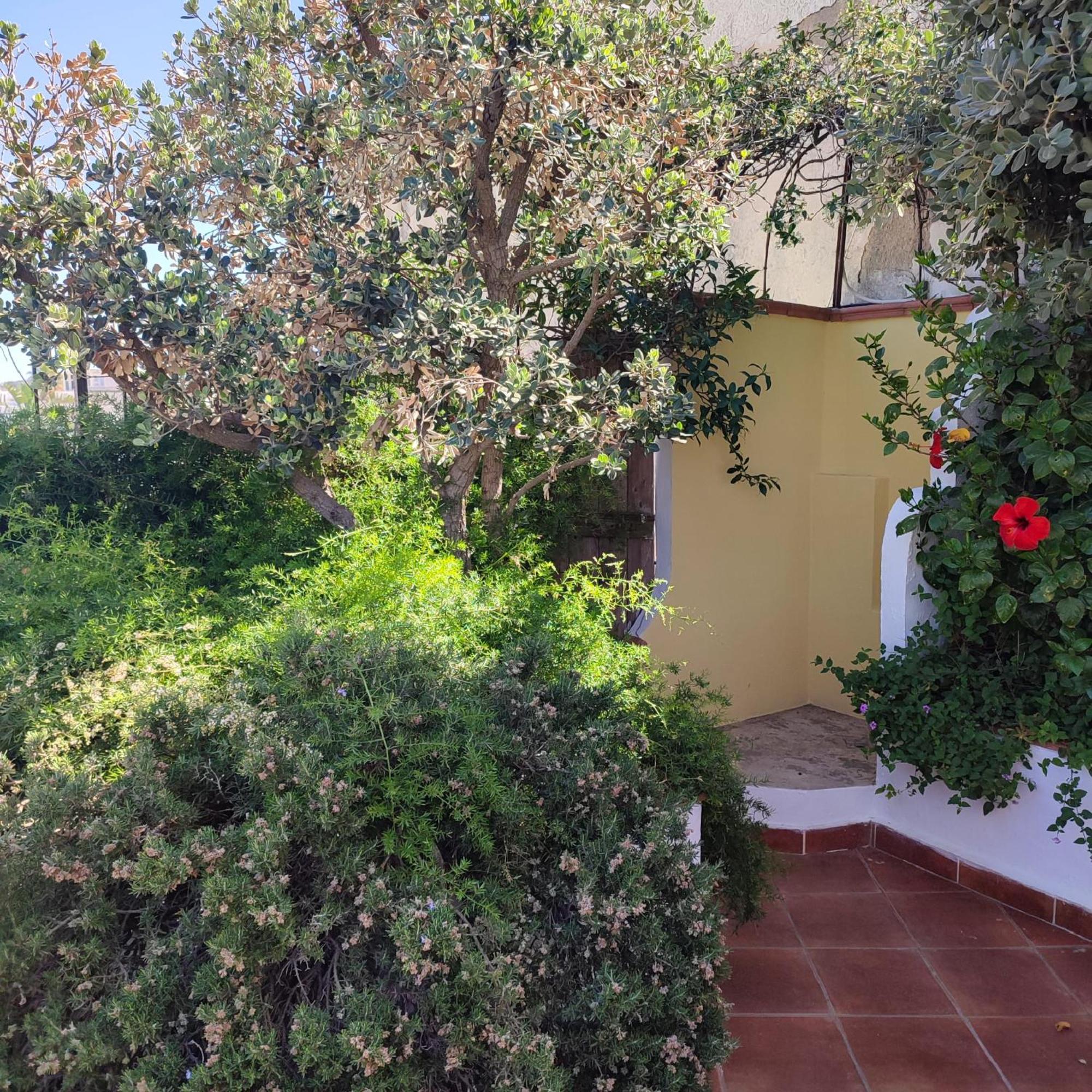 Hotel Villa Verde Forio  Bagian luar foto